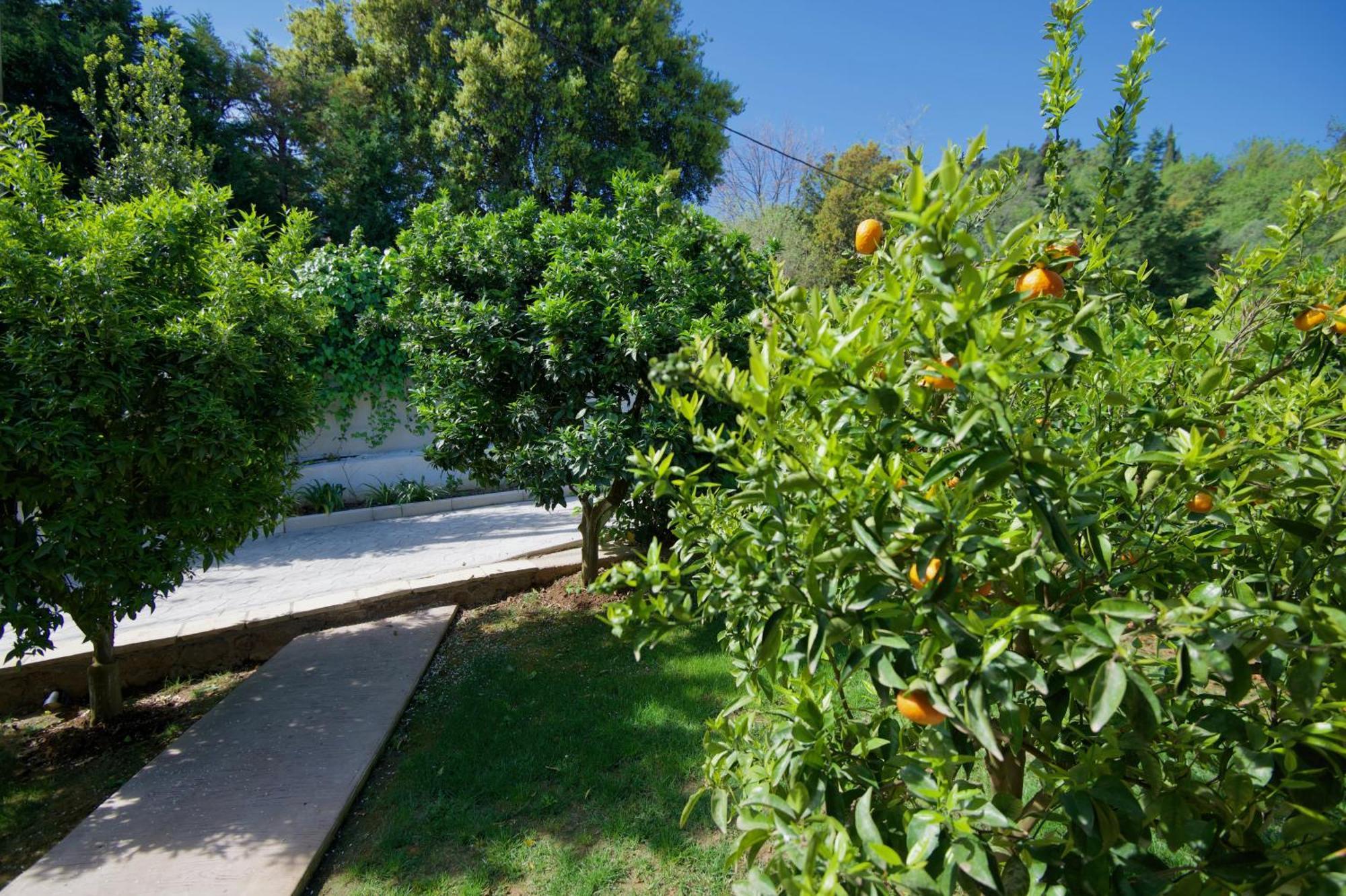Gazátika Villa Natilia מראה חיצוני תמונה